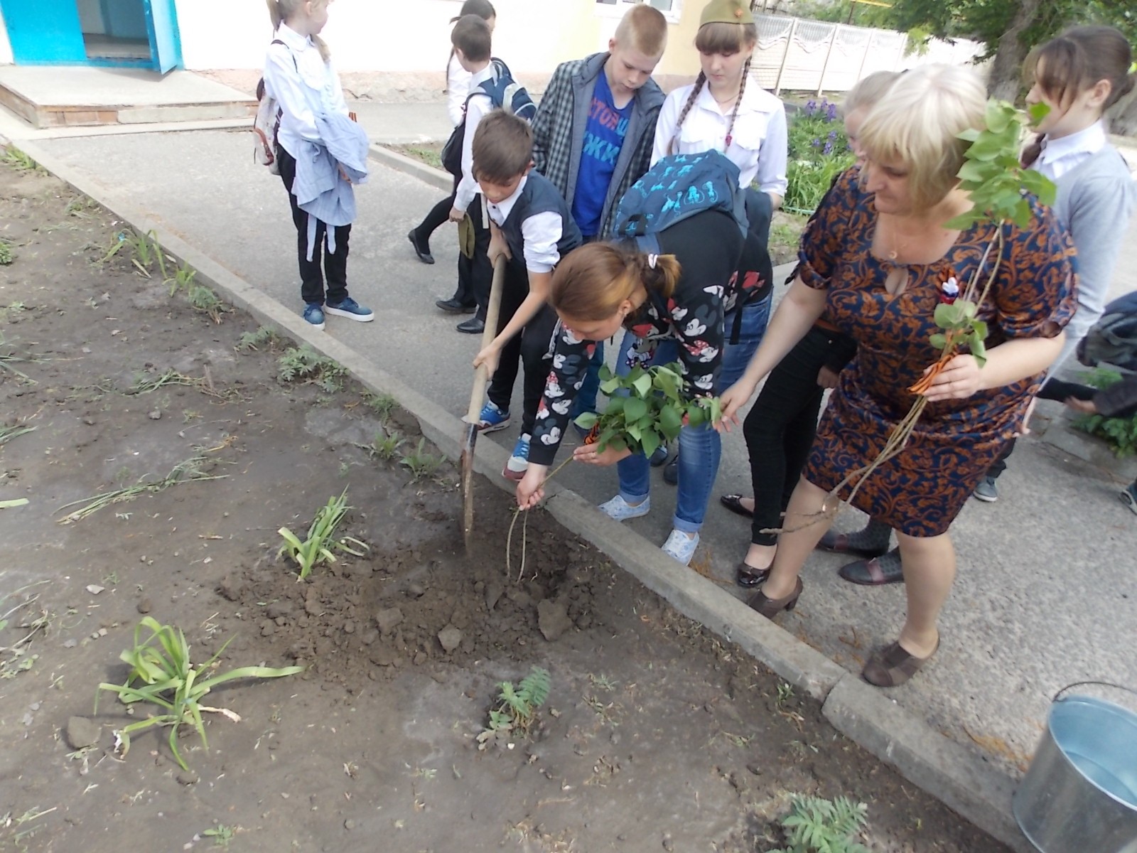 Подробнее о статье Школьная акция «Сирень Победы»