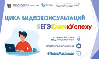 Подробнее о статье Цикл видеоконсультаций
