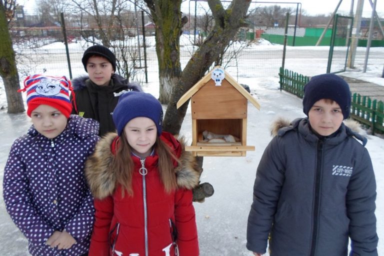 Подробнее о статье Изготовление кормушек