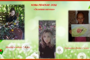 Подробнее о статье Зеленая аптека