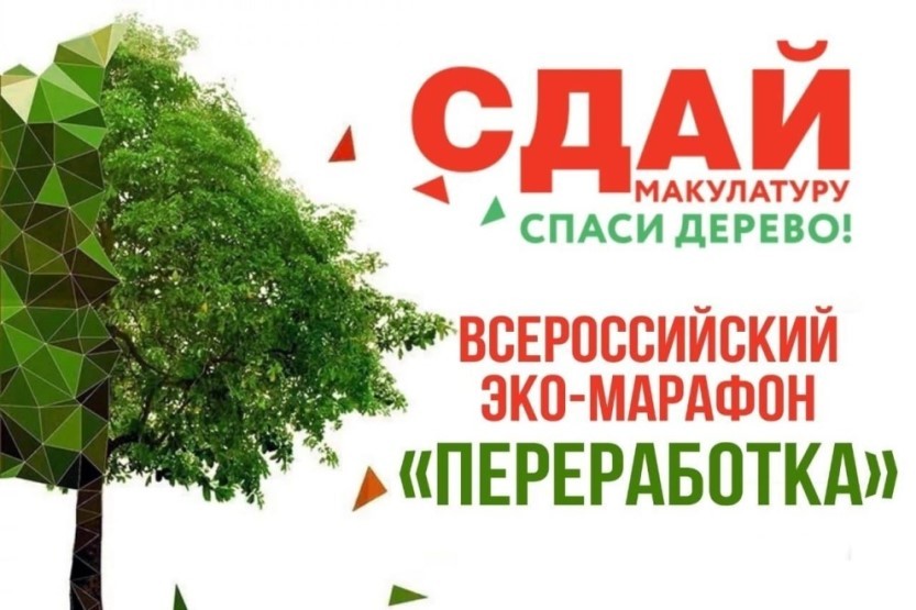 Вы сейчас просматриваете Сдай макулатуру – спаси дерево
